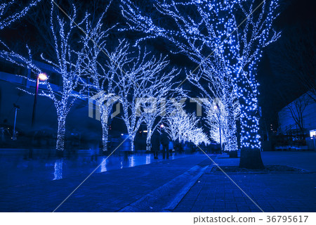 藍洞SHIBUYA 36795617