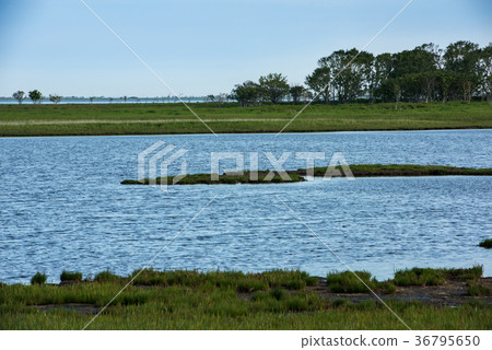 Notsuke Peninsula Notsuke Peninsula 36795650