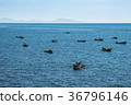 Shiretoko Kombu Fishing 36796146