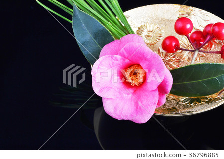 祝你好運松綠金杯 36796885