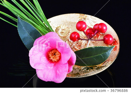 祝你好運松綠金杯 祝你好運松綠金杯 36796886