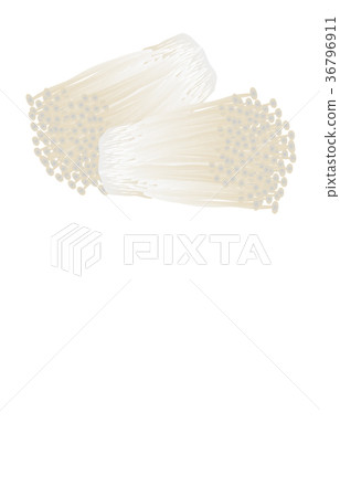Only mushrooms various enoki 36796911