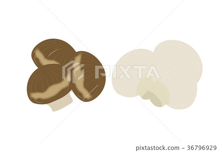 Mushrooms various mushrooms 36796929