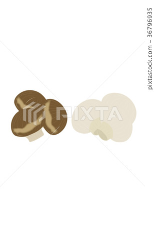 Mushrooms various mushrooms 36796935