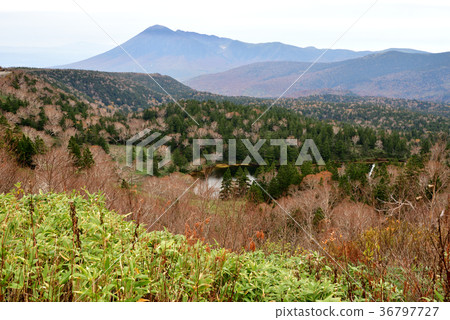 Mt. Iwate聳立在Hachimantai Kumanuma背景下 Mt. Iwate聳立在Hachimantai Kumanuma背景下 36797727