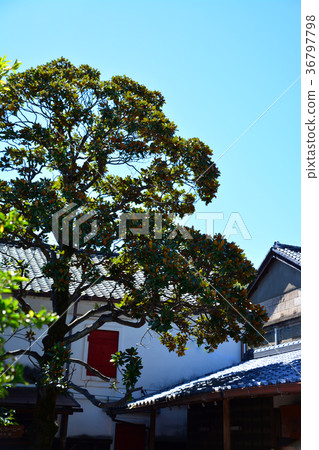 Townscape of Edo mood 36797798