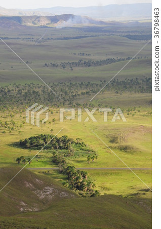 Guiana highlands, Gran Savannah 36798463