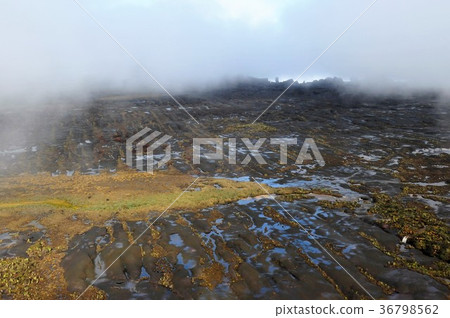 Guiana highlands, Roraima mountain 36798562