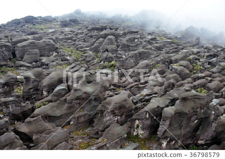 圭亞那高地，羅賴馬山 36798579