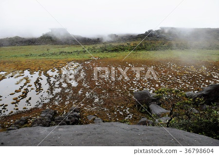圭亞那高地,羅賴馬山 圭亞那高地,羅賴馬山 36798604