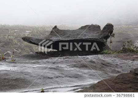 Guiana highlands, Roraima mountain Guiana highlands, Roraima mountain 36798661