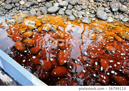 The way to Angel Falls, Guiana Highlands 36799118