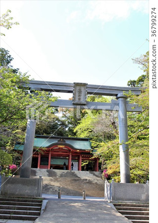 Katori Jingu（Nii Torii和Somon） 36799274