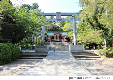 Katori Jingu(Nii Torii和Somon) Katori Jingu(Nii Torii和Somon) 36799275