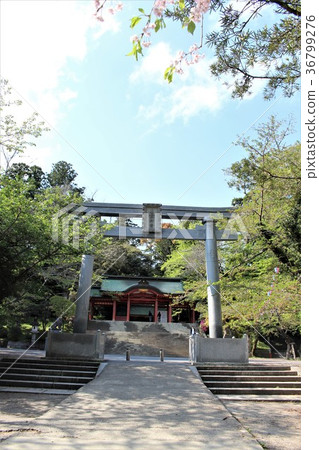 Katori Jingu（Nii Torii和Somon） 36799276