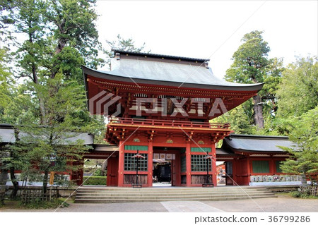 Katori Jingu (the tower gate) Katori Jingu (the tower gate) 36799286