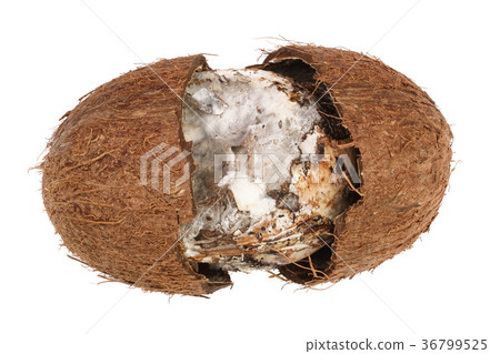 Coconut spoiled with mold isolated on white Coconut spoiled with mold isolated on white 36799525
