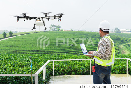 Technician farmer control agriculture drone on tea Technician farmer control agriculture drone on tea 36799534