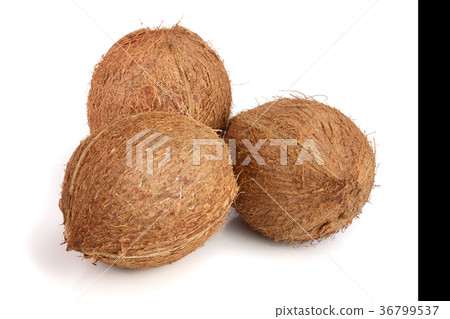 whole coconut isolated on white background whole coconut isolated on white background 36799537