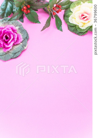 New spring material New spring material 36799600