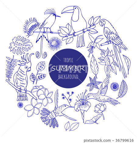 A set of tropical plants and birds A set of tropical plants and birds 36799616