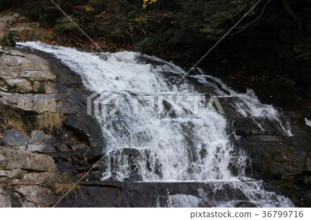 Two Tatamigaki Waterfall Two Tatamigaki Waterfall 36799716