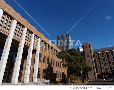 仙台市青葉區東北大學Katahira校區 仙台市青葉區東北大學Katahira校區 36799876