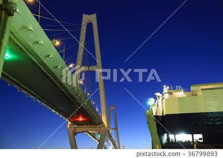 黎明的特里頓 36799893