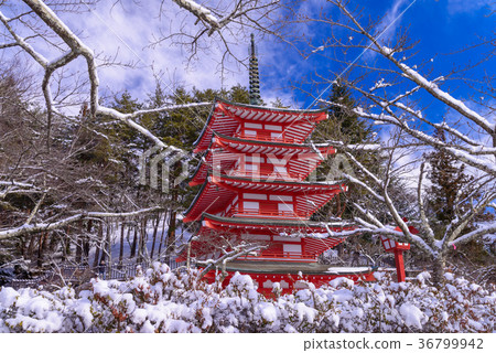 Chu Ping Pagoda of Shinkurayama Asama Park where there was snowfall (Yamanashi Prefecture) 36799942