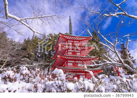 Chu Ping Pagoda of Shinkurayama Asama Park where there was snowfall (Yamanashi Prefecture) 36799943