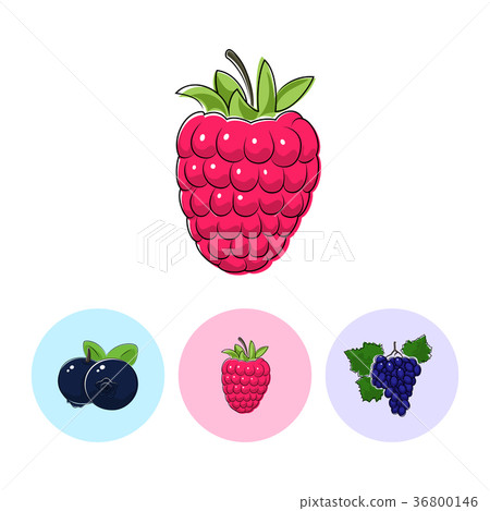 Fruit Icons, Raspberries ,Blueberries, Grapes Fruit Icons, Raspberries ,Blueberries, Grapes 36800146