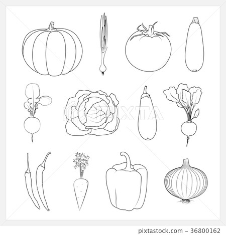 Set Linear Vegetable Icons 36800162