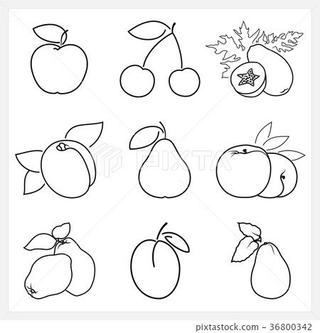 Set of Fruit Linear Icons Set of Fruit Linear Icons 36800342