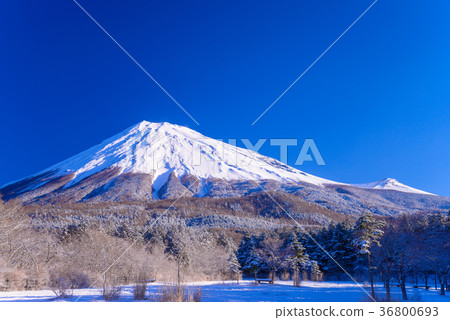 On the morning of snowfall, from West Usuzuka Mt. Fuji (Shizuoka Prefecture) On the morning of snowfall, from West Usuzuka Mt. Fuji (Shizuoka Prefecture) 36800693
