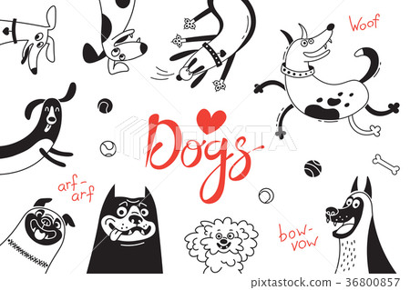 Card with joyful dogs and happy puppies. Vector 36800857