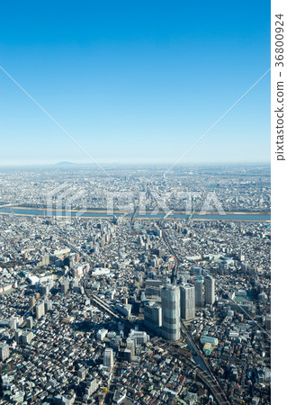 [東京]城市景觀 36800924