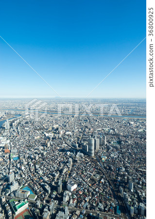 [東京]城市景觀 36800925