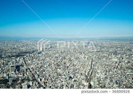 [東京]城市景觀 36800926