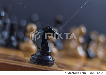 Chess horse staying in front of chess pieces Chess horse staying in front of chess pieces 36801234