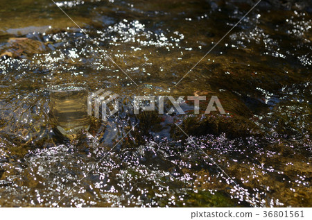 Glass of water Glass of water 36801561