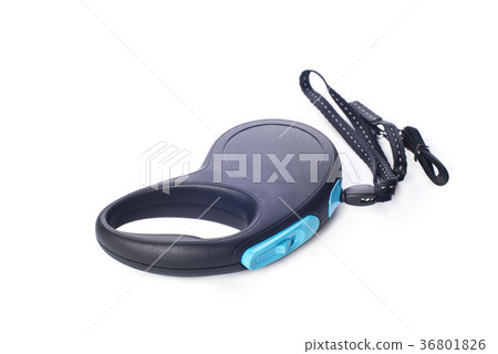 Automatic leash for dog on a white background  36801826
