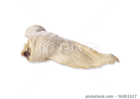 Nutritious pet food on a white background, shadows 36801827