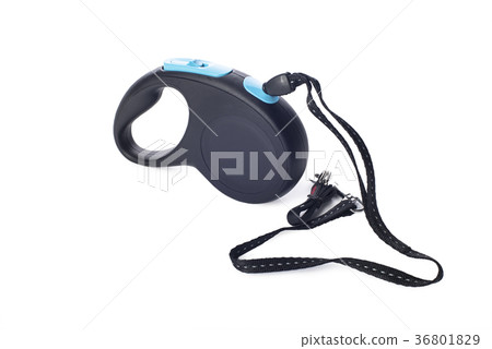 Automatic leash for dog on a white background Automatic leash for dog on a white background 36801829