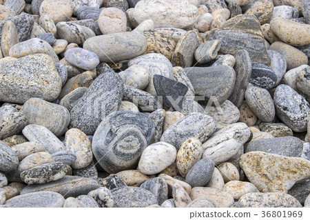 rocky shore on the white background 36801969