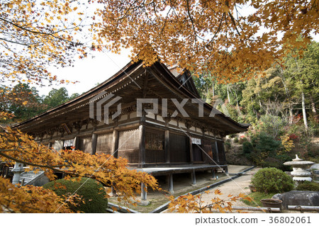 Zenji Temple Fall leaves 2017 36802061