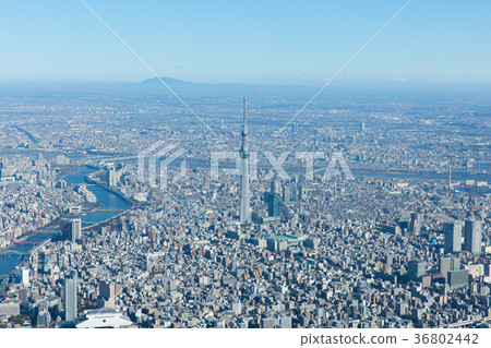 東京Skytree空中照片 36802442