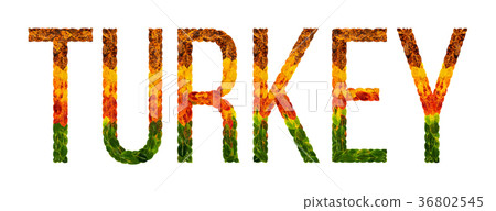 word turkey country is written with leaves on a word turkey country is written with leaves on a 36802545