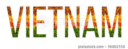 word vietnam country is written with leaves on a word vietnam country is written with leaves on a 36802558