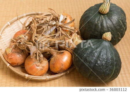 Onions and pumpkins gather with mud Onions and pumpkins gather with mud 36803112