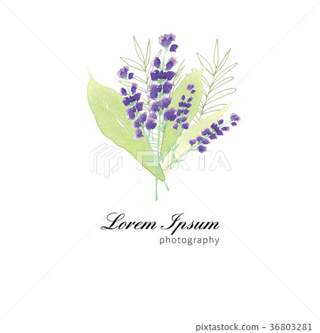 Hand Painted Wildflower floral pattern Hand Painted Wildflower floral pattern 36803281